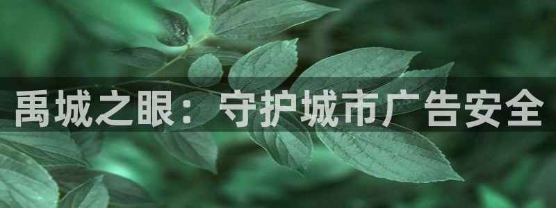 杏宇平台客服：禹城之眼：守护城市广告安全