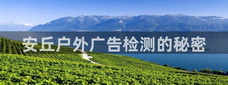 杏宇平台代理多少钱