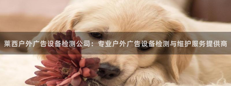 杏宇平台怎么样知乎：莱西户外广告设备检测公司：专业户外广告设备检测与维护服务提供商