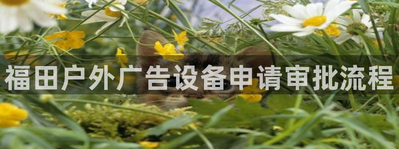 杏宇平台注册登录：福田户外广告设备申请审批流程