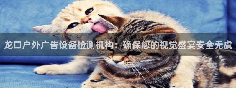 杏宇平台怎么样知乎：龙口户外广告设备检测机构：确保您的视觉盛宴安全无虞