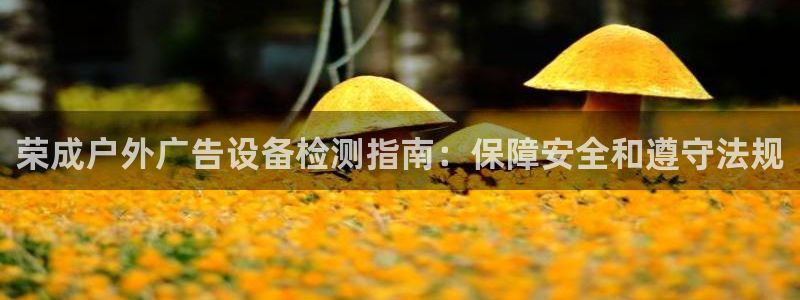 杏宇平台登录步骤：荣成户外广告设备检测指南：保障安全和遵守法规