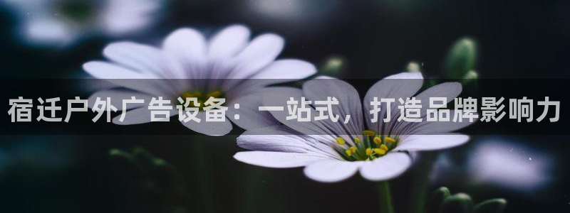 杏宇平台怎么样：宿迁户外广告设备：一站式，打造品牌影响力