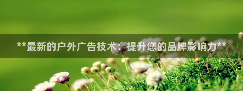 杏宇平台测速链接：**最新的户外广告技术：提升您的品牌影响力**