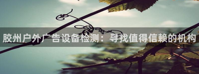 杏宇平台代理多少钱一次：胶州户外广告设备检测：寻找值得信赖的机构