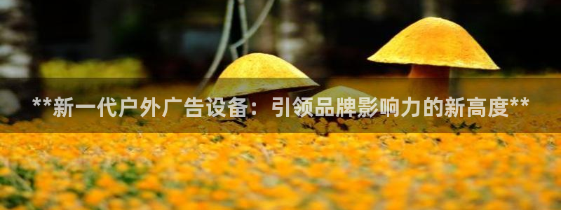 杏宇平台客服：**新一代户外广告设备：引领品牌影响力的新高度**