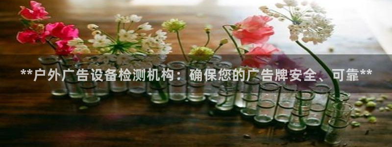 杏宇平台代理怎么赚钱的：**户外广告设备检测机构：确保您的广告牌安全、可靠**