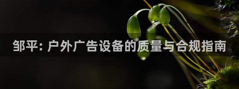 杏宇平台怎么样赚钱：邹平: 户外广告设备的质量与合规指南