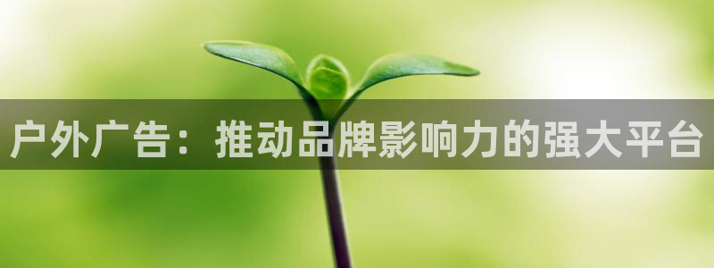 杏宇平台是什么