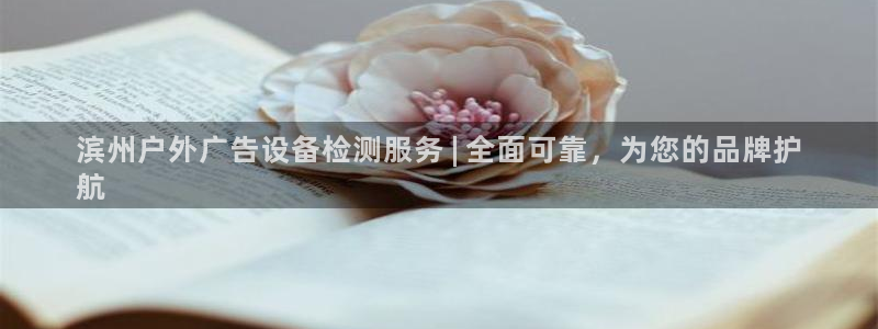 杏宇平台是什么