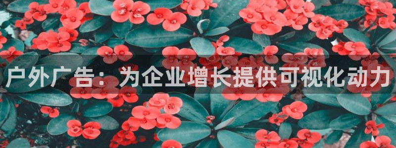 杏宇平台总代理是谁：户外广告：为企业增长提供可视化动力