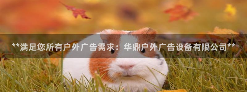 杏宇平台主管：**满足您所有户外广告需求：华鼎户外广告设备有限公司**