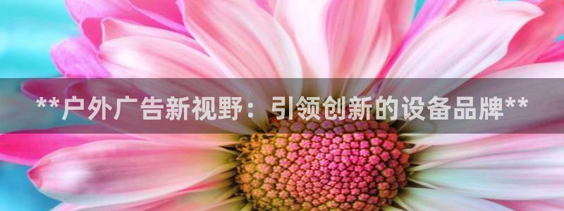 杏宇代理注册：**户外广告新视野：引领创新的设备品牌**