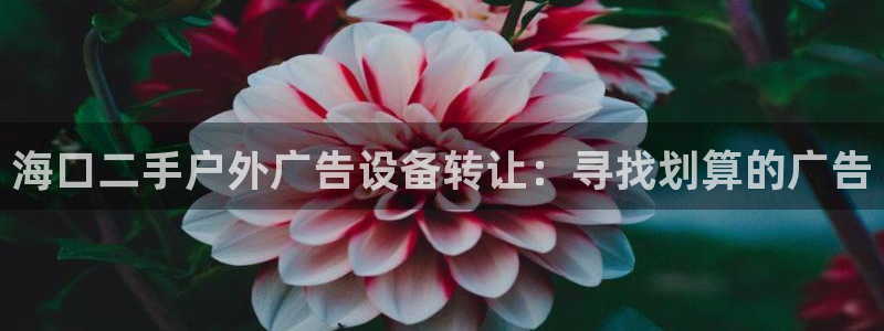 杏宇平台代理怎么赚钱快：海口二手户外广告设备转让：寻找划算的广告