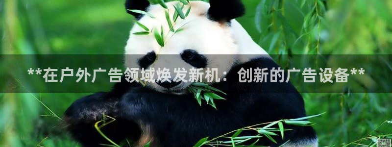 杏宇平台代理多少钱