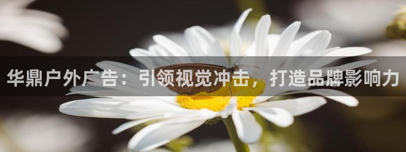 杏宇平台代理多少钱：华鼎户外广告：引领视觉冲击，打造品牌影响力