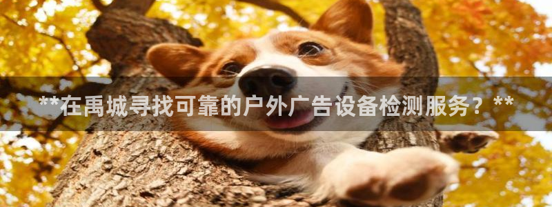 杏宇平台登录步骤图：**在禹城寻找可靠的户外广告设备检测服务？**