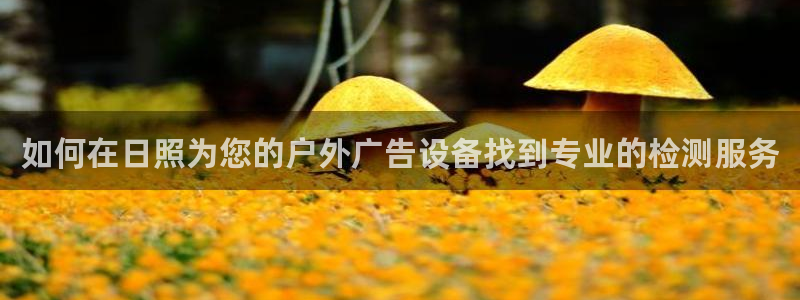 杏宇平台总代理电话：如何在日照为您的户外广告设备找到专业的检测服务