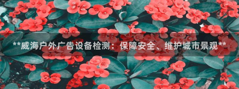 杏宇平台提现为什么这么久呢：**威海户外广告设备检测：保障安全、维护城市景观**