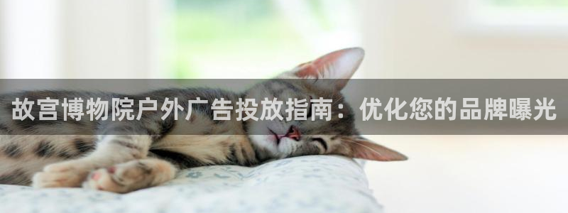 杏宇平台招商怎么样