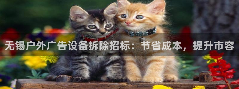 杏宇平台代理多少钱一次：无锡户外广告设备拆除招标：节省成本，提升市容