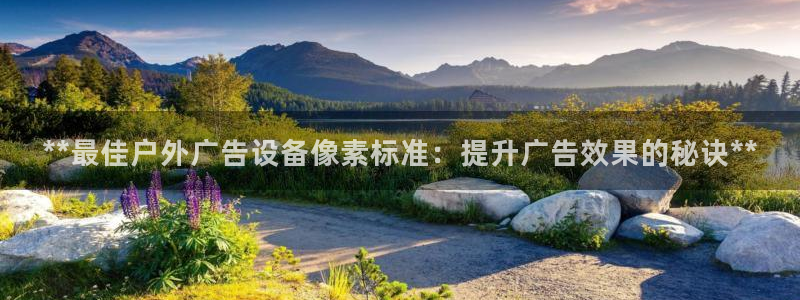 杏宇官方平台官网入口：**最佳户外广告设备像素标准：提升广告效果的秘诀**