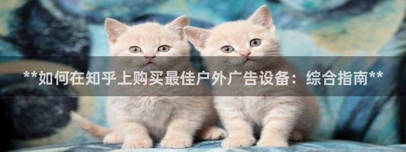 杏宇平台是什么