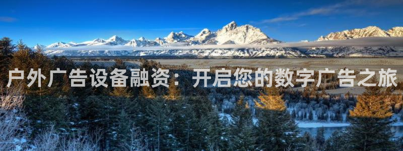杏宇平台主管：户外广告设备融资：开启您的数字广告之旅