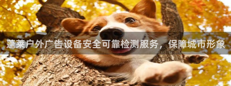 杏宇平台代理怎么赚钱：蓬莱户外广告设备安全可靠检测服务，保障城市形象