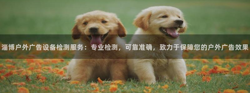 杏宇平台官网注册：淄博户外广告设备检测服务：专业检测，可靠准确，致力于保障您的户外广告效果