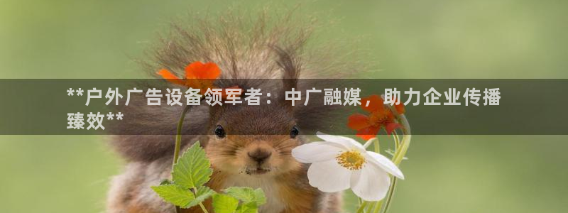 杏宇平台是什么：**户外广告设备领军者：中广融媒，助力企业传播
臻效**