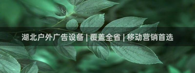 杏宇平台登录方法：湖北户外广告设备 | 覆盖全省 | 移动营销首选