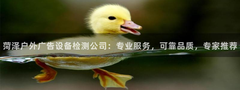 杏宇平台总代理：菏泽户外广告设备检测公司：专业服务，可靠品质，专家推荐