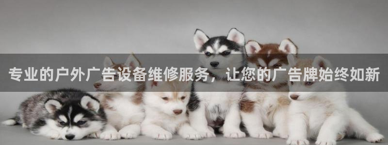 杏宇平台代理怎么样赚钱：专业的户外广告设备维修服务，让您的广告牌始终如新