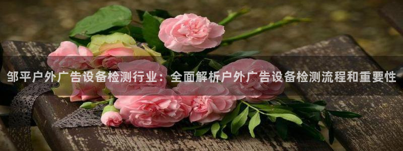 杏宇平台登录步骤图：邹平户外广告设备检测行业：全面解析户外广告设备检测流程和重要性