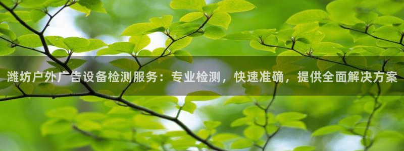 杏宇平台代理多少钱一个月：潍坊户外广告设备检测服务：专业检测，快速准确，提供全面解决方案