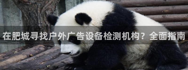 杏宇平台总代理电话：在肥城寻找户外广告设备检测机构？全面指南