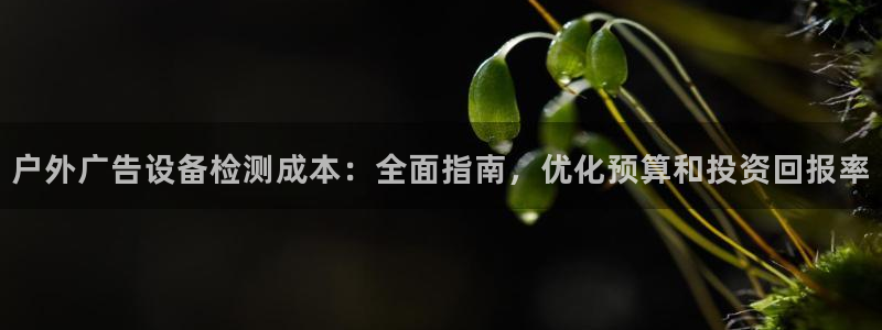 杏宇平台开户：户外广告设备检测成本：全面指南，优化预算和投资回报率