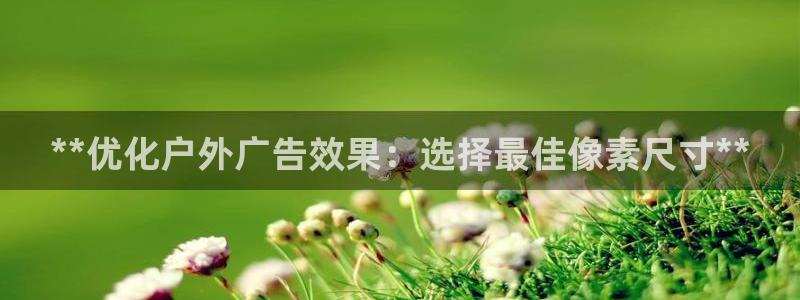杏宇平台代理多少钱一次：**优化户外广告效果：选择最佳像素尺寸**