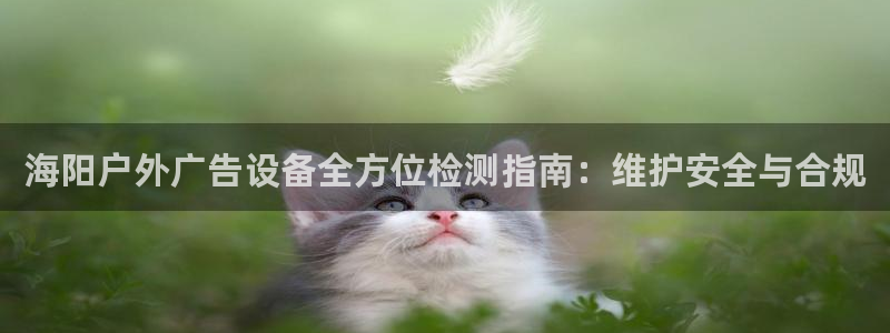 杏宇平台注册地址在哪里：海阳户外广告设备全方位检测指南：维护安全与合规