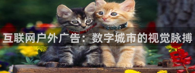杏宇官方平台官网入口：互联网户外广告：数字城市的视觉脉搏