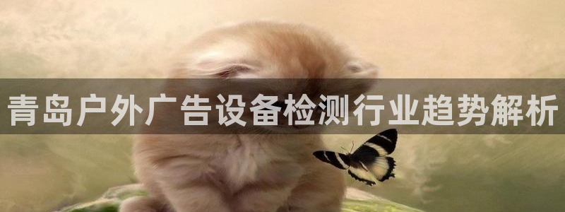 杏宇平台提现为什么这么久呢