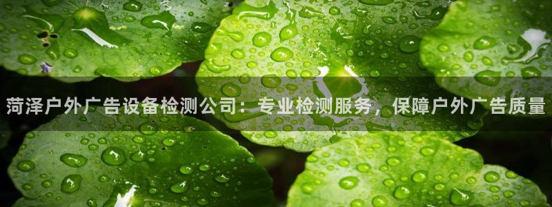 杏宇平台测速链接：菏泽户外广告设备检测公司：专业检测服务，保障户外广告质量