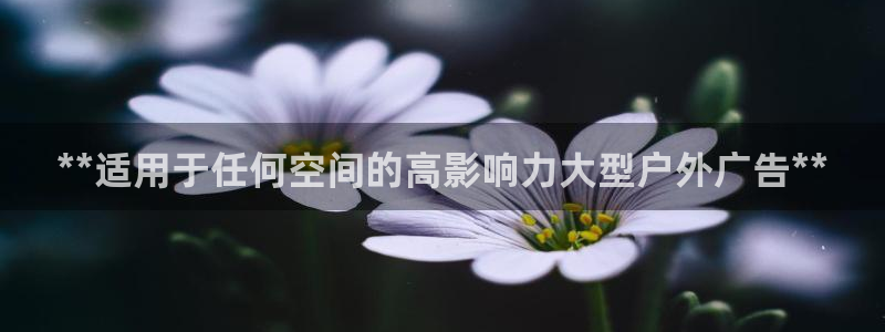 杏宇平台总代理电话：**适用于任何空间的高影响力大型户外广告**