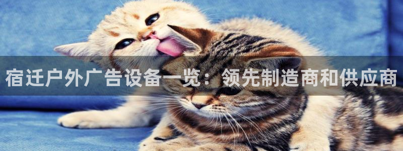 杏宇平台代理怎么赚钱的：宿迁户外广告设备一览：领先制造商和供应商