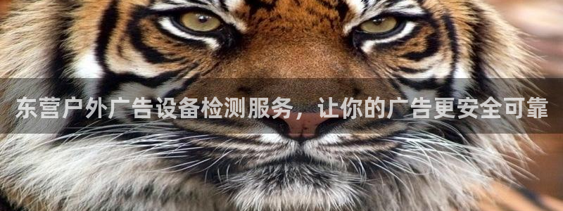 杏宇平台登录方法：东营户外广告设备检测服务，让你的广告更安全可靠