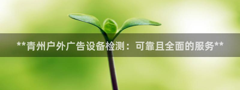 杏宇平台登录方法：**青州户外广告设备检测：可靠且全面的服务**