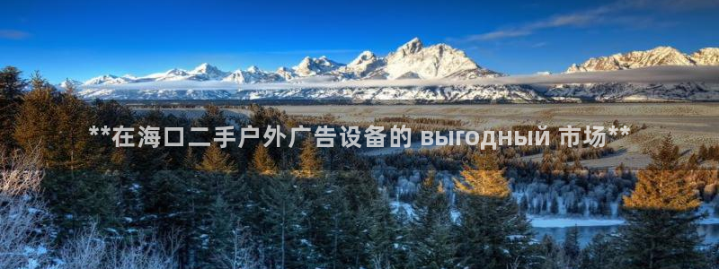 杏宇平台招商电话号码：**在海口二手户外广告设备的 выгодный 市场**