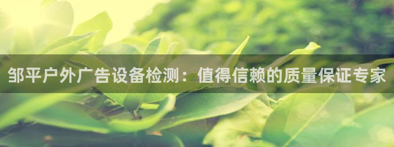 杏宇平台代理怎么赚钱：邹平户外广告设备检测：值得信赖的质量保证专家