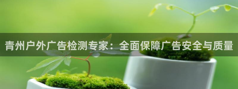 杏宇平台代理多少钱一次：青州户外广告检测专家：全面保障广告安全与质量